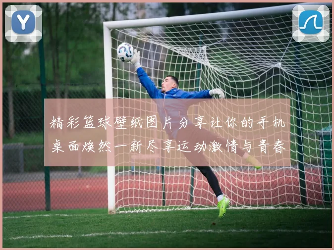 精彩篮球壁纸图片分享让你的手机桌面焕然一新尽享运动激情与青春活力