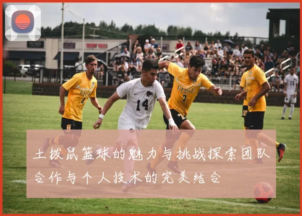 土拨鼠篮球的魅力与挑战探索团队合作与个人技术的完美结合