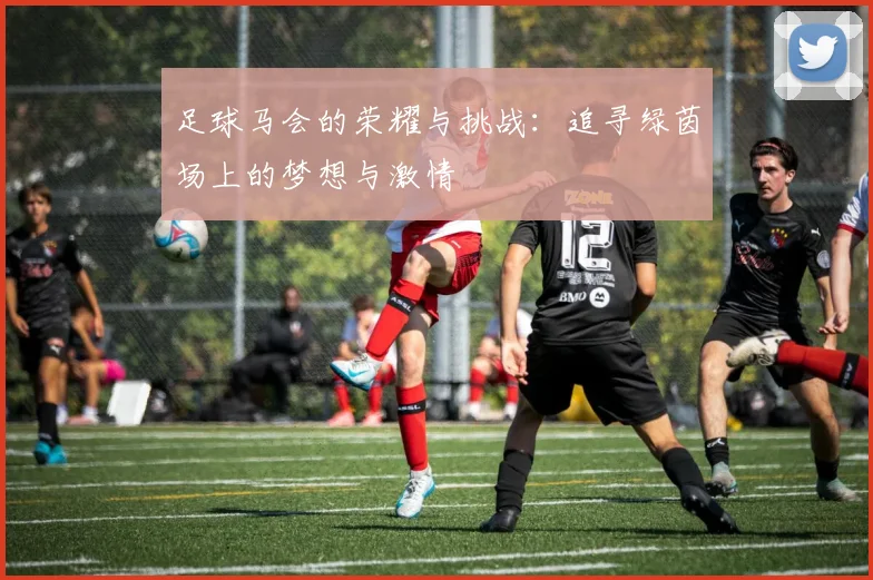 足球马会的荣耀与挑战：追寻绿茵场上的梦想与激情