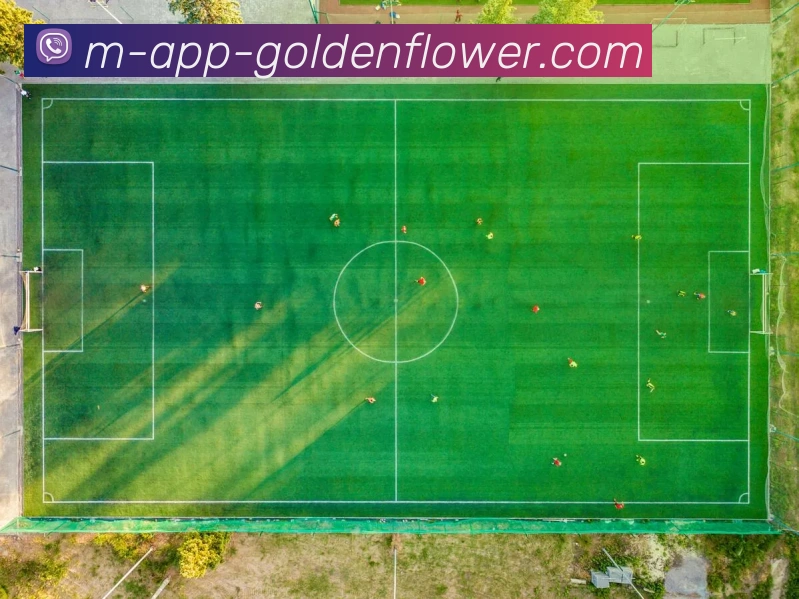 App Interface Preview